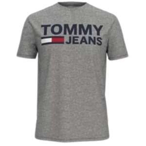 TH Men's Printed Shirt/Gray/XXL