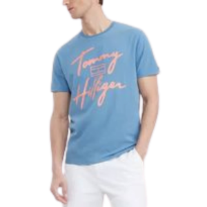 Tommy Hilfiger T shirt for men medium
