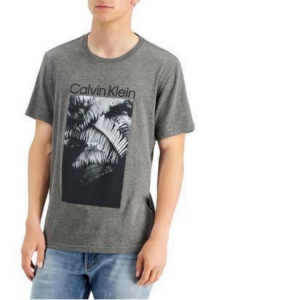 Calvin Klein T shirt for him/grey/xxl