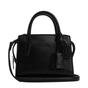 COACH Andrea Mini Carryall