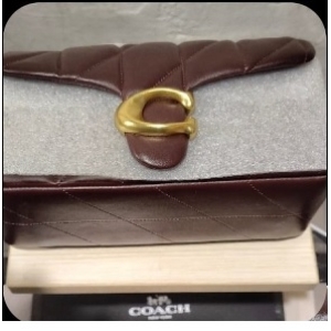 Coach Quilted Shoulder Bag with C-Buckle - Dark Brown