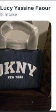 DKNY Mini Tote Bag - Denim Blue