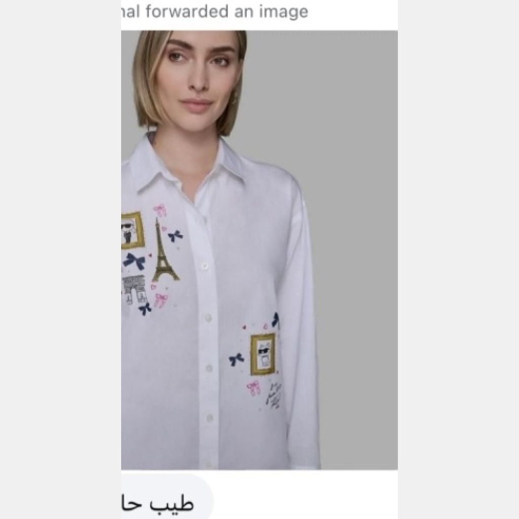 karl lagerfeld White Long-Sleeve Button-Up Shirt with Paris-Themed Embroidery - White - Size XL