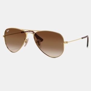 Ray-Ban Junior Kids' Aviator RJ9506S Aviator Sunglasses for Junior Kids' +BUNDLE with ACCESSORY EYEWEAR KIT - Arista / Brown Gradient Dark Brown