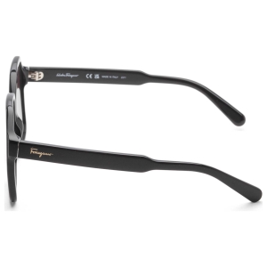 Ferragamo Women's Sunglasses SF1069S-001-56 - Image 3