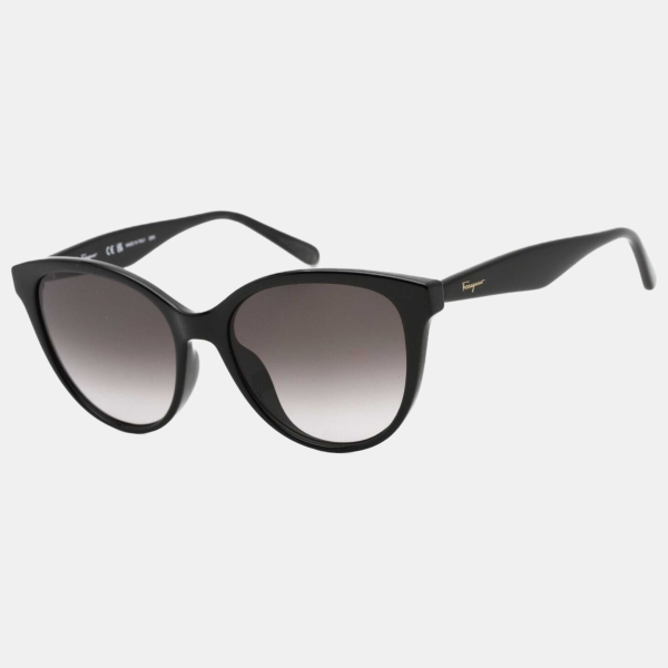 Ferragamo Women's Sunglasses SF1073S-001 - Black