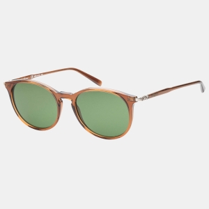 Ferragamo Women's Sunglasses SF911S-210 - Brown