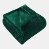 Wrinkle Resistant Plush Fleece Blanket, Twin - Evergreen