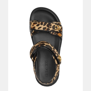 Coach Women's Brynn Round Toe Sandals - Leopard - Image 5