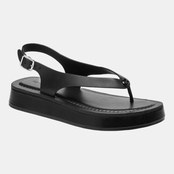 Coach Women's Sculpted Platform Thong Sandals