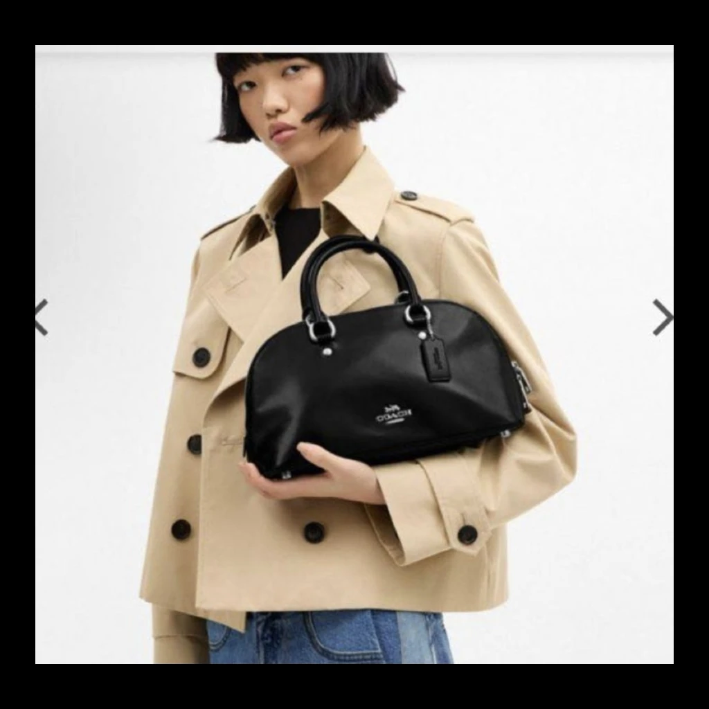 Coach Leather Dome Satchel Handbag - Black