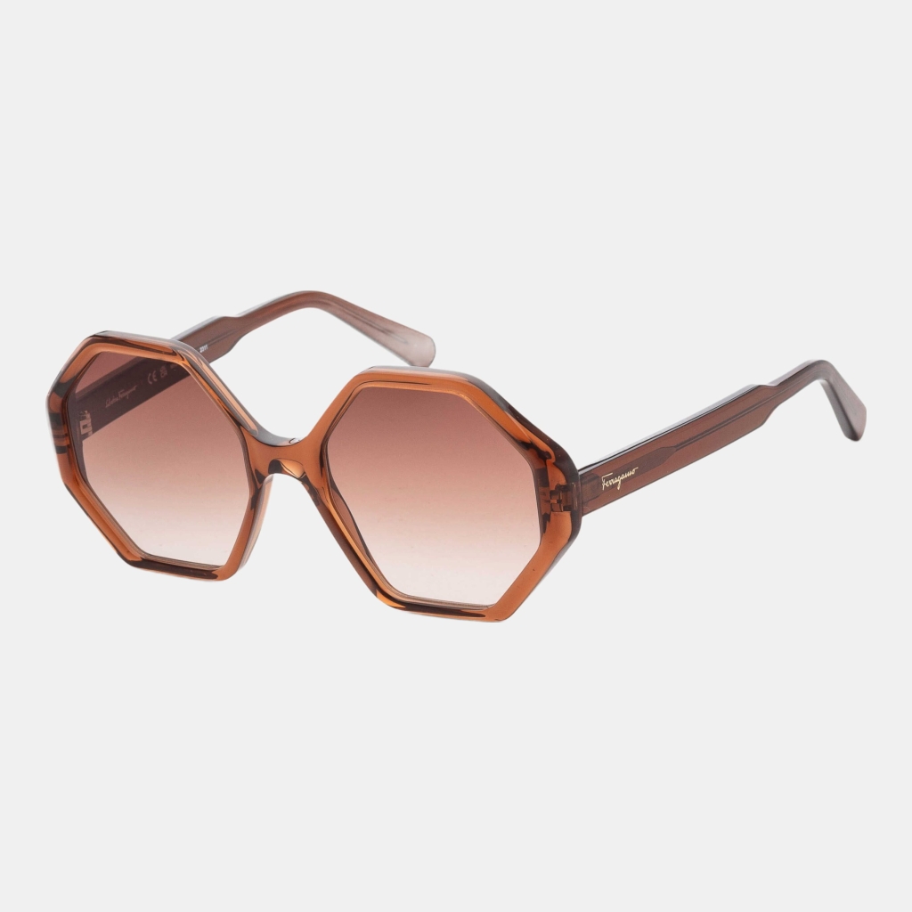 Ferragamo Fashion Women's Brown Geometric Sunglasses - Crystal Brown
