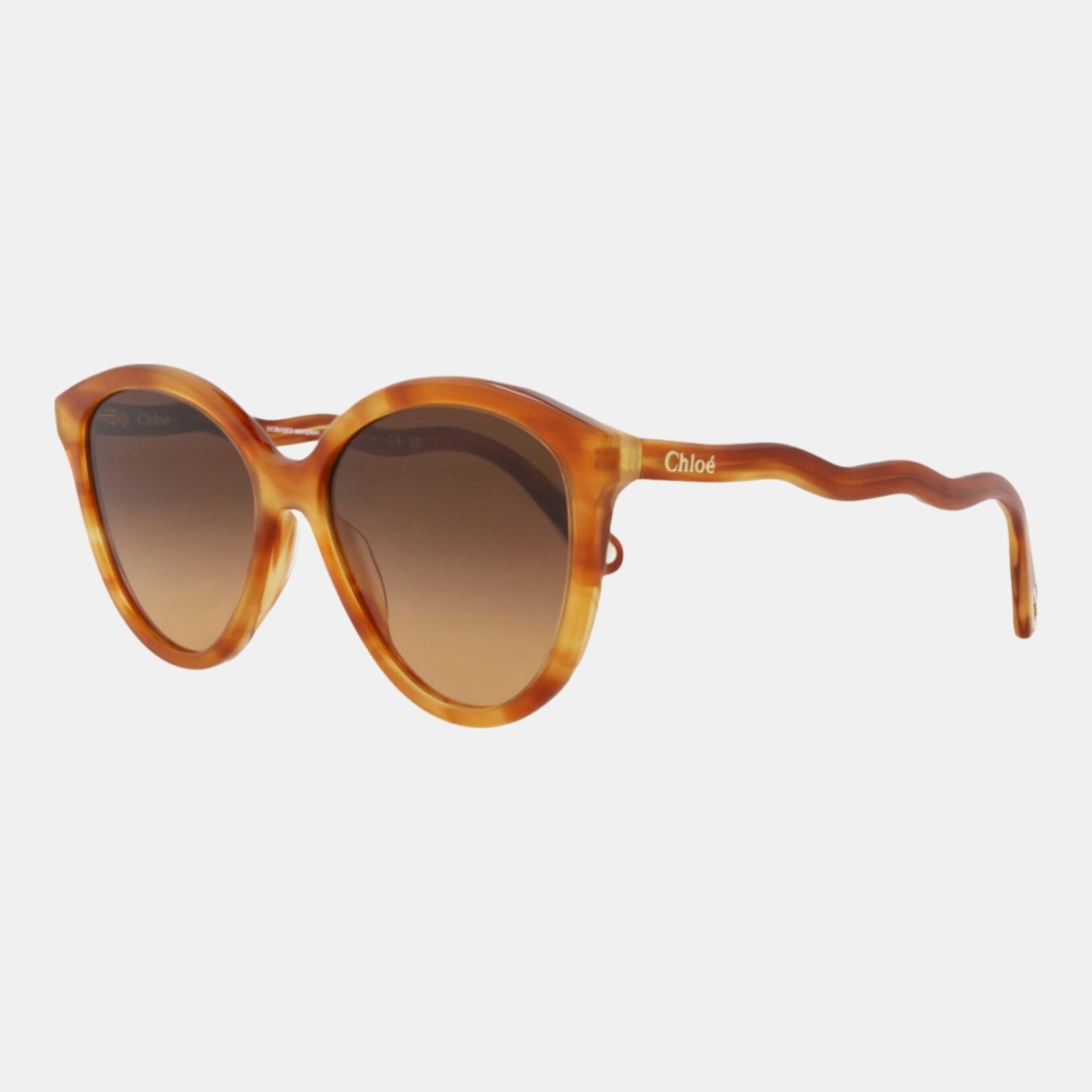 Chloe Women's Brown Sunglasses - Havana
