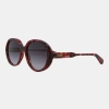 Chloe Women's Brown Sunglasses - Havana