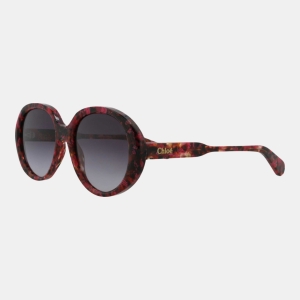 Chloe Women's Brown Sunglasses - Havana
