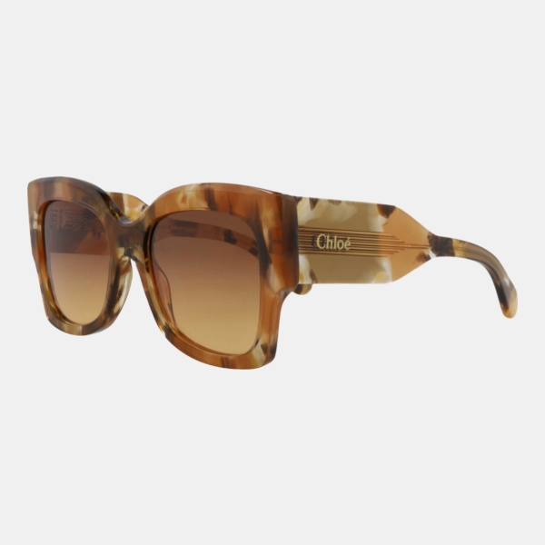 Chloe Women's Brown Sunglasses - Havana