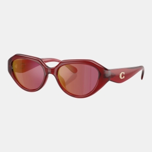 Coach Women's Brown Square Sunglasses - Milky Light Ochre