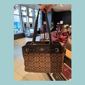 Coach Signature Canvas Shoulder Bag - Brown/Tan Signature Canvas