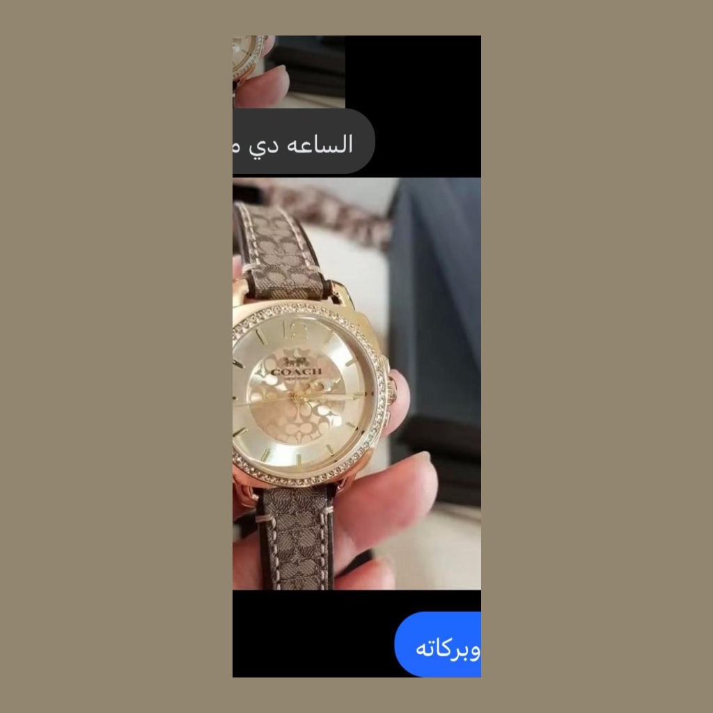 Coach Watch - Gold-tone with Brown Monogram Strap
